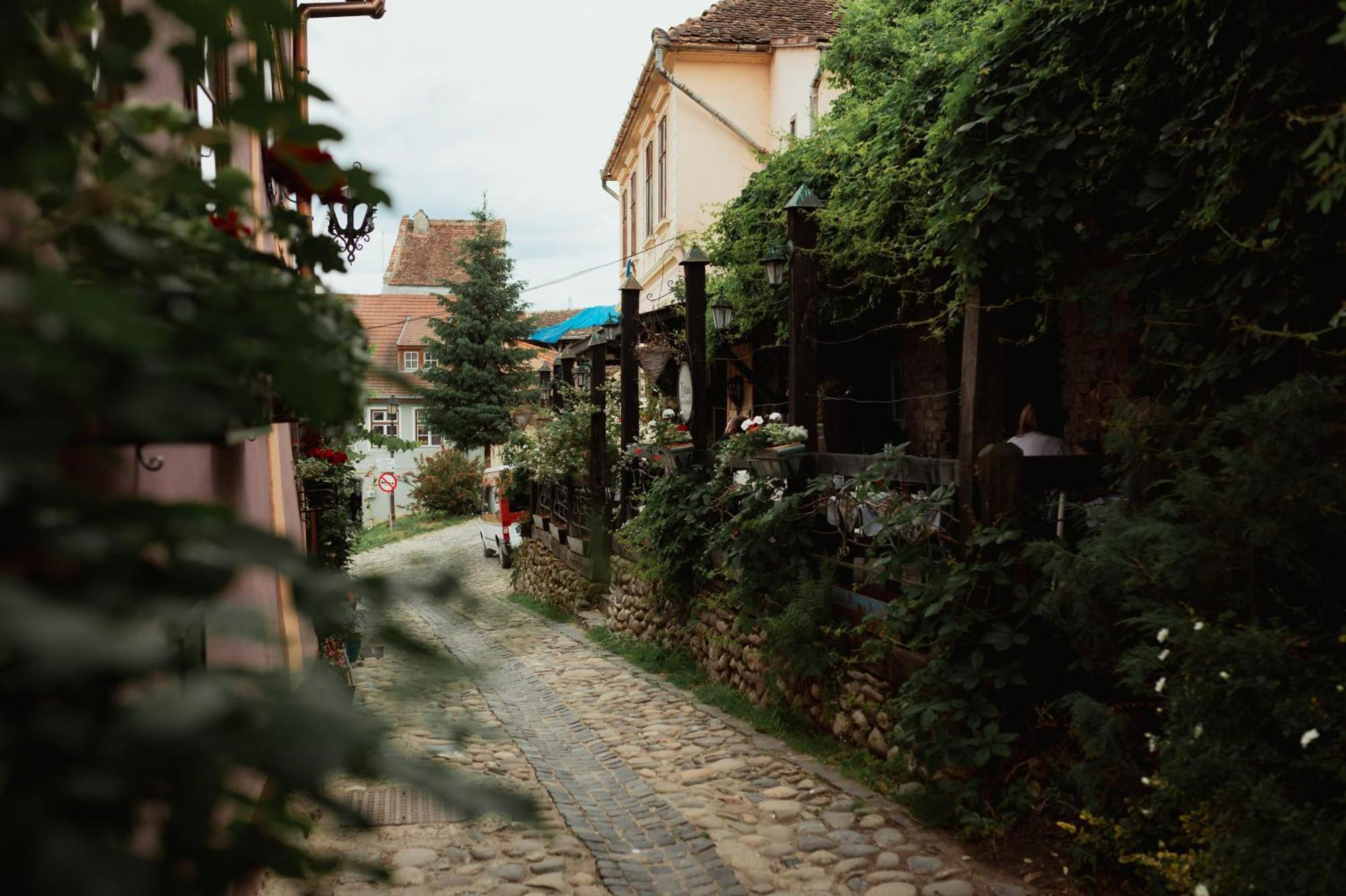 Casa Leonhardt Apartment Sighisoara Exterior photo